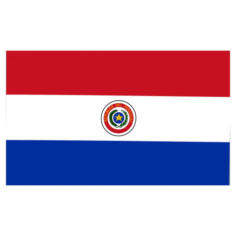 Flag Paraguay GIF by Latinoji