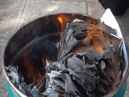 200.gif?cid=fc005b08db2e974bee3f740334402f04cefe7071672c4213&rid=200.gif&ct=g
