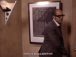 flip off david cross GIF by Leroy Patterson