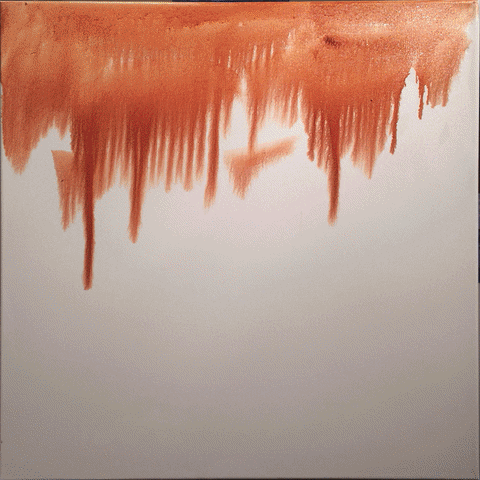 robfitzsimmons america GIF