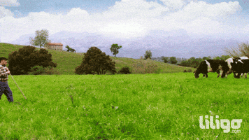 Viaje Pastor GIF by liligo.com