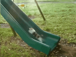 mhmd  GIF