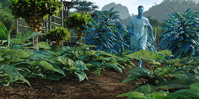 avatar4lyfe  GIF