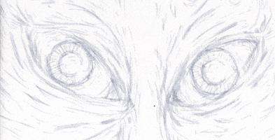 mediumtedium eye eye 3 GIF