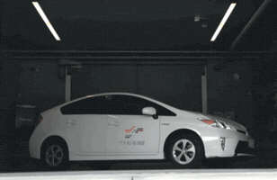 mayasugarman mayasugarman GIF