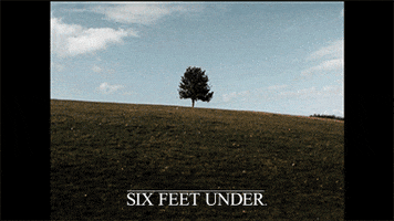 six feet under love GIF by HBO