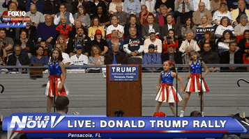 alfredwkng donald trump rally GIF