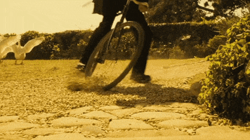 dat  GIF