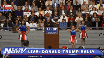 alfredwkng donald trump rally GIF