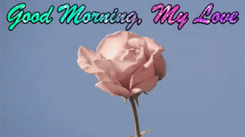 Good Morning My Love GIF by reactionseditor - Find & Share on GIPHY