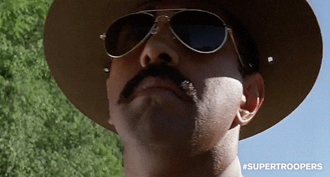 Giphy - super troopers wtf GIF by Fox Searchlight