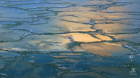 Icy Water GIFs - Find & Share on GIPHY