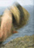 200.gif?cid=fc005b087657c3e12bf967b187bdc214892b218d7b4ef079&rid=200.gif&ct=g