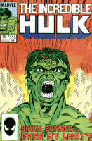 scream hulk GIF by Leroy Patterson