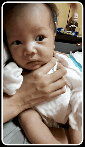 a2doaw5ldeb5ywhvby5jb20udhc  GIF