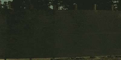 alexanderlockie  GIF