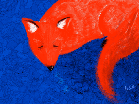 Ana Caro animated GIF