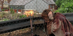 the walking dead GIF
