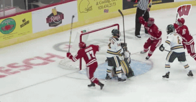 college hockey GIF by Wisconsin Badgers