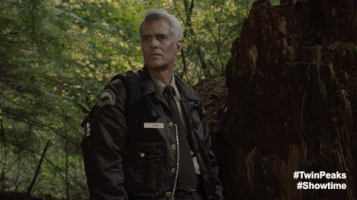 Twin Peaks Part 14 GIF by Twin Peaks on Showtime