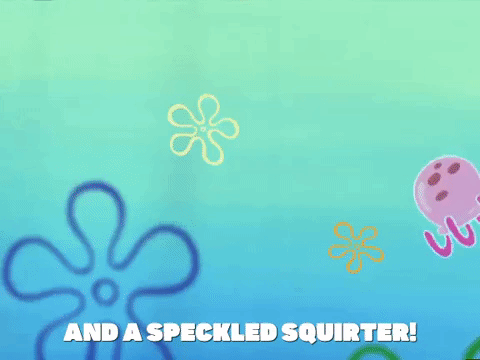 Squirters GIFs - Get the best GIF on GIPHY