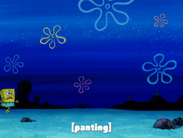 200.gif?cid=fc005b089a145d58876ba4c4aa1300faeefba47ac49c30fd&rid=200.gif&ct=g