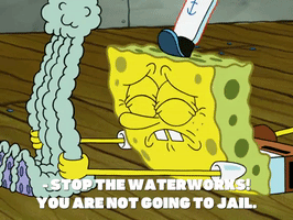season 8 restraining spongebob GIF by SpongeBob SquarePants