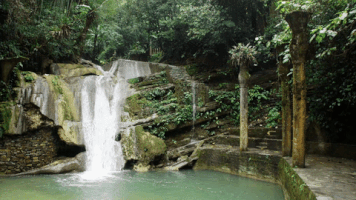 ahmad-aliswaid mexico architecture nowness gardens GIF