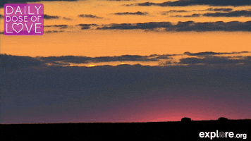 sunset love GIF by explore.org