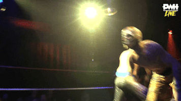 pixelkaiju wrestling prowrestling lucha dragan GIF
