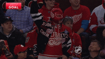 detroit red wings nhl fans GIF by NHL