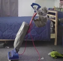 clean up cleaning GIF by Bubble Witch