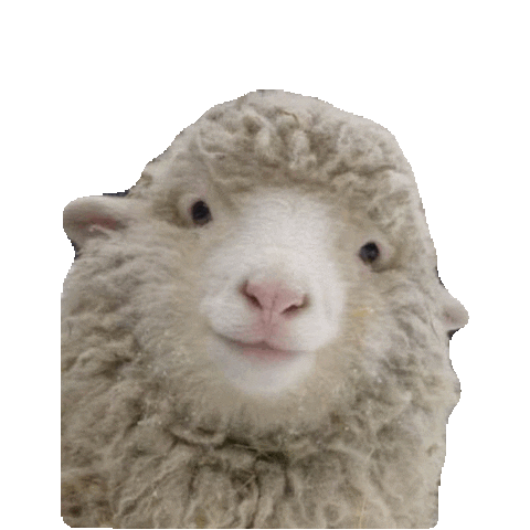 aaa Gif By Imoji For Ios Android Giphy