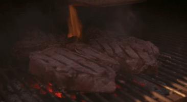 4C_Summit cattletales GIF