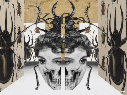 Resultado de imagen de metamorfosis kafka gif
