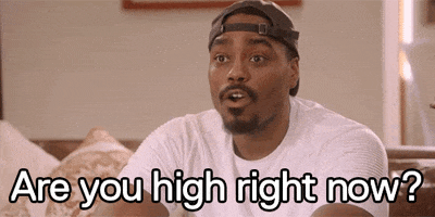Are You High Basketball Wives GIF by VH1