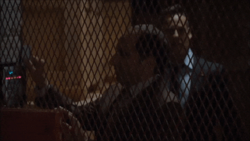 sarahwaynecalliesbrasil colony usa GIF