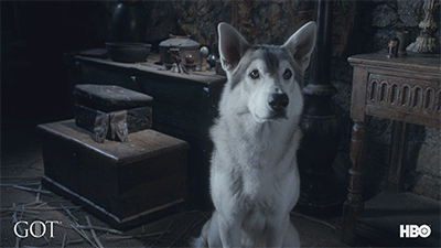 Head Tilt GIF by Game of Thrones: #PrepareForWinter - Find & Share on GIPHY