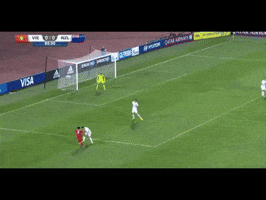 wesport  GIF
