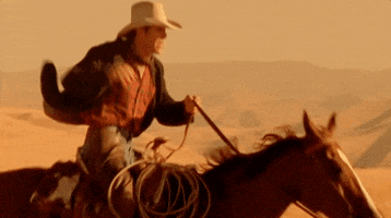 stampede GIF by Chris LeDoux