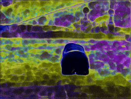 Bend Over GIFs - Find & Share on GIPHY