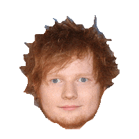Ed Sheeran Stickers - Find & Share on GIPHY