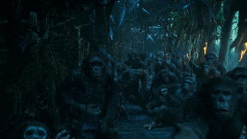 ceasar GIF by War for the Planet of the Apes