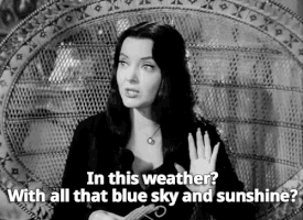 dorianc0c0c0 the addams family morticia addams in this weather all that blue sky and sunshine GIF