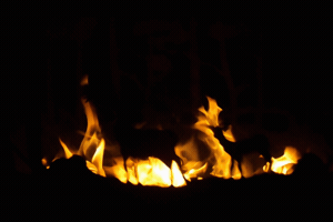fireplaceproducts fire nature deer firepit GIF