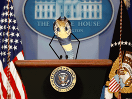 guybird snek press secretary smokebomb snekretary GIF