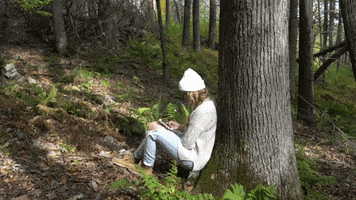 woods sweater GIF by Quote Catalog