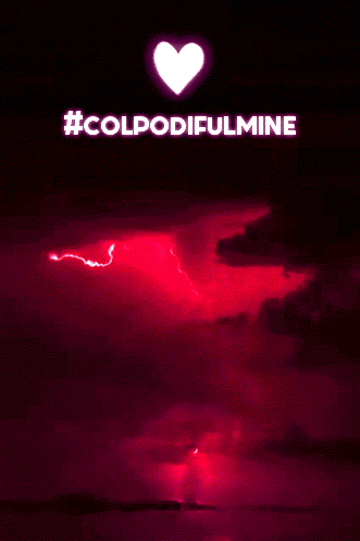 silviapasqualetto  GIF