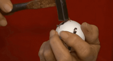 AgiGiphy  GIF