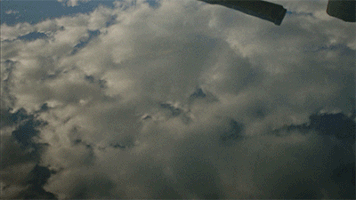 200.gif?cid=fc005b085092da4e58e7980176468cdf952c2c9ee1aef0e9&rid=200.gif&ct=g